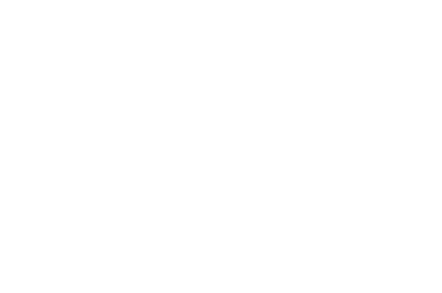 The Spirit of Bongo's Bingo